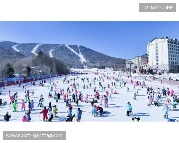 假日国际娱乐：探索丰富的假日娱乐活动，满足不同年龄层的娱乐需求